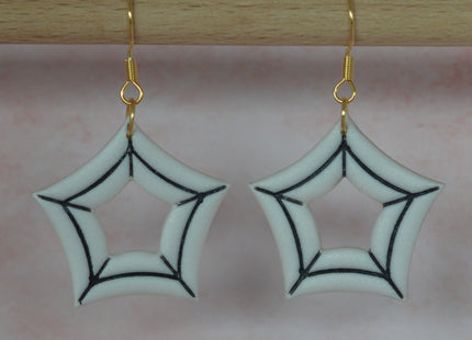 Spider Web (5)